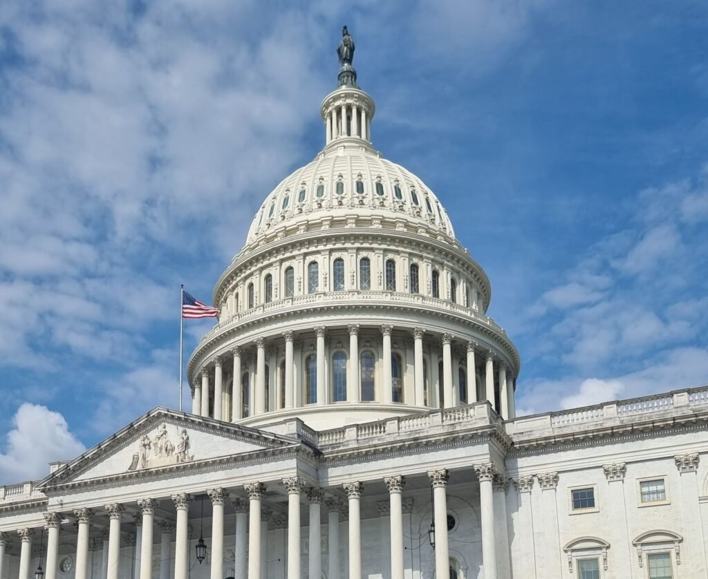 Democratic majority could expose the limits of progressive agenda